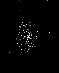 N-Particle Gravity Simulation on Ultra96