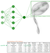 spoonNN - FPGA-based neural network inference project